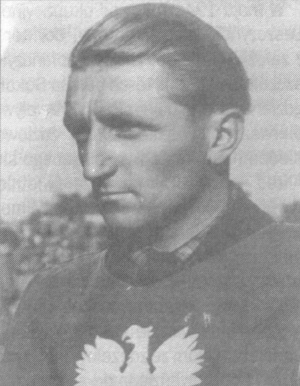 {short description of image}