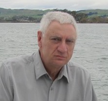 {short description of image}