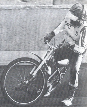 {short description of image}