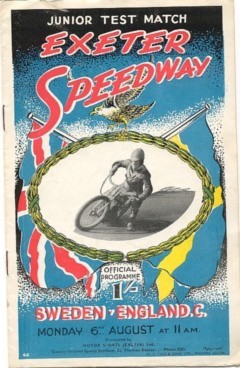 {short description of image}