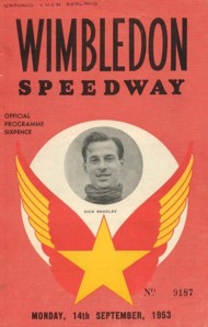 {short description of image}