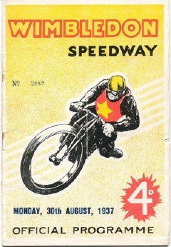 {short description of image}