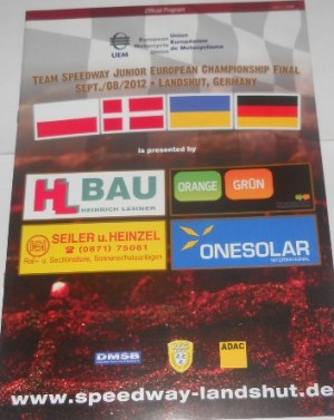 {short description of image}