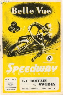 {short description of image}