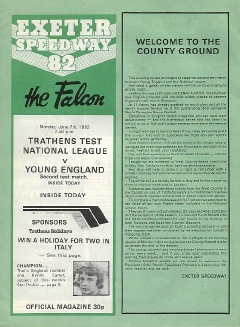 {short description of image}