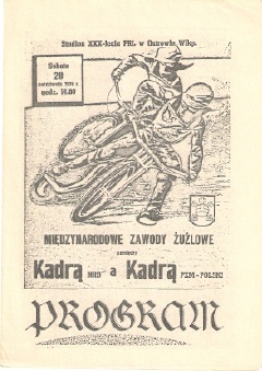 {short description of image}