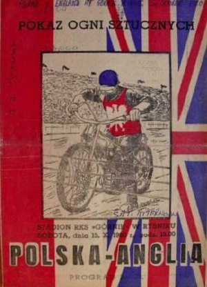 {short description of image}