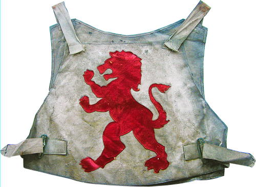 {short description of image}