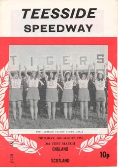 {short description of image}