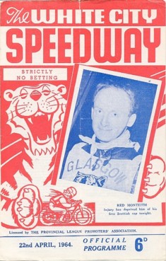 {short description of image}