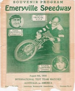 {short description of image}