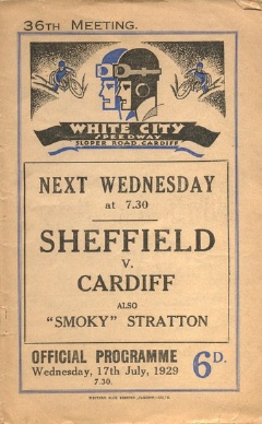 {short description of image}