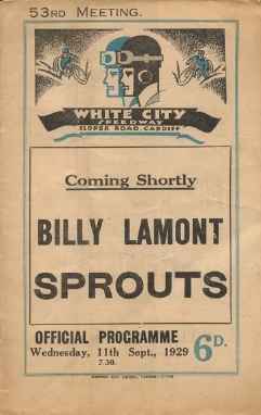 {short description of image}