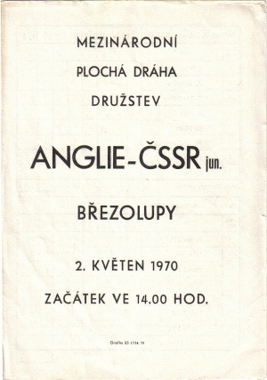 {short description of image}